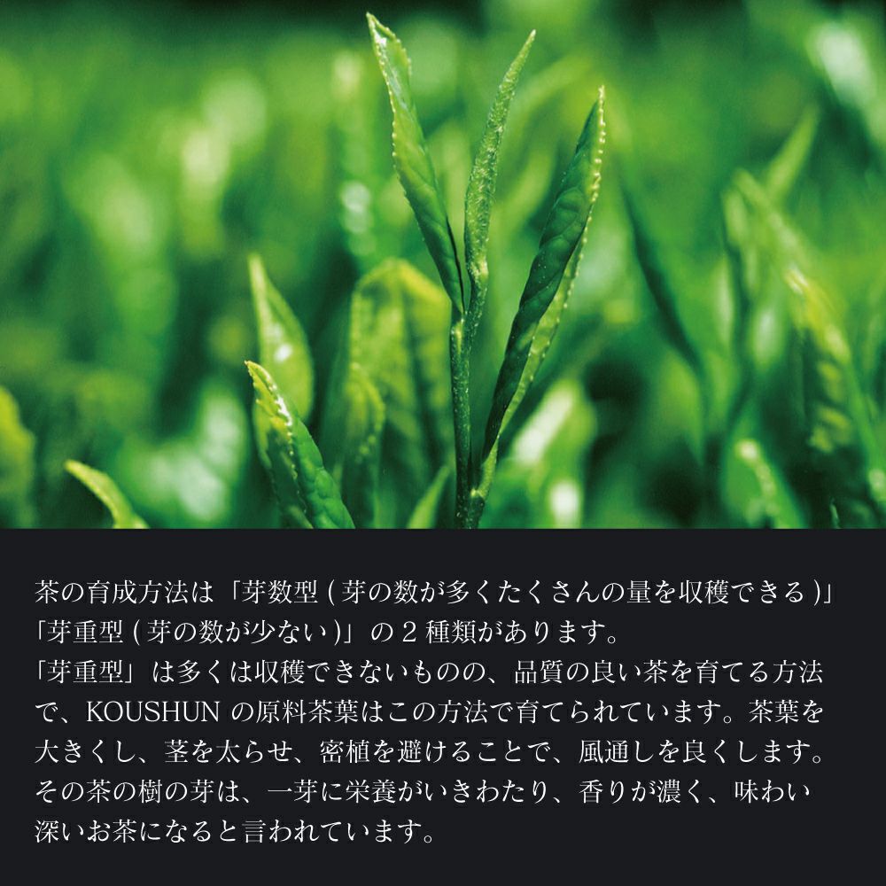 ボトリングティーＫＯＵＳＨＵＮ（こうしゅん）は、華やかな香りと、うまみ、日本茶らしい苦味は、先様の好みを選ばずにお選びいただけます。