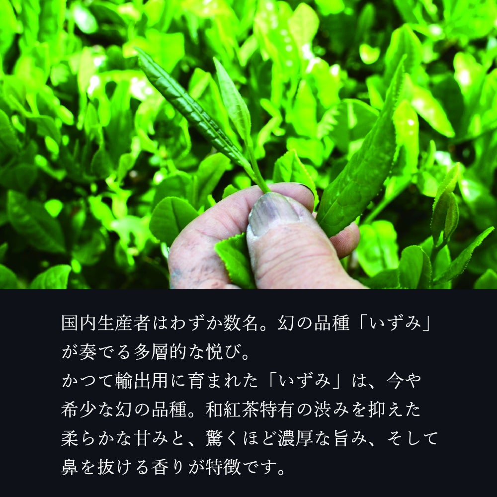 茶処、静岡県の中でも有名な「紅茶づくりの名人」村松二六氏の栽培した和紅茶「いずみ」を使用。